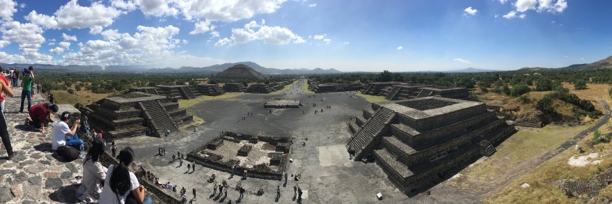 dr david j roberts banner