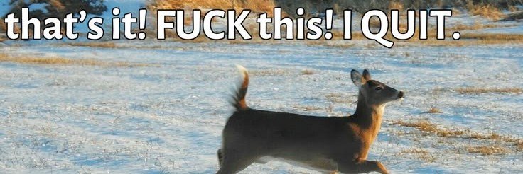 reindeergurrl's profile banner image