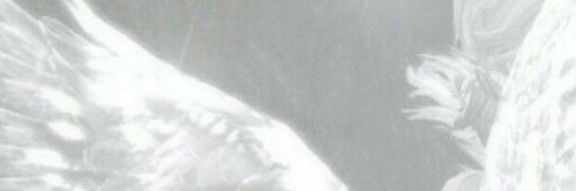xtyedh's profile banner image