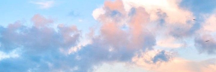 MinjiInLove's profile banner image