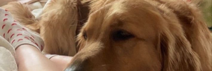 Miahub20's profile banner image