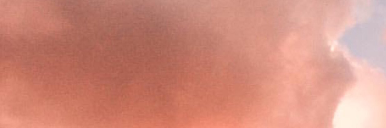 annathevaliant's profile banner image