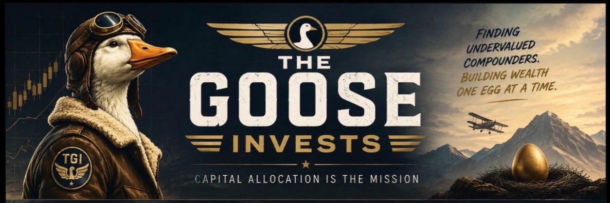 TheGooseInvests's profile banner image