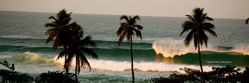 venvansenatural's profile banner image