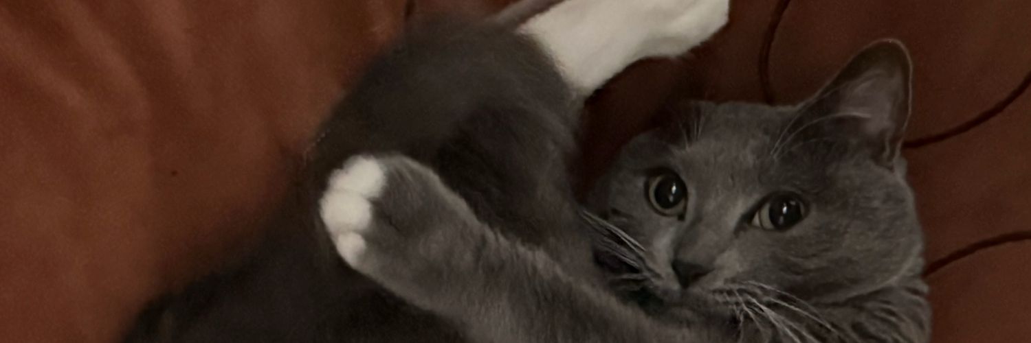 Saranguyaa's profile banner image