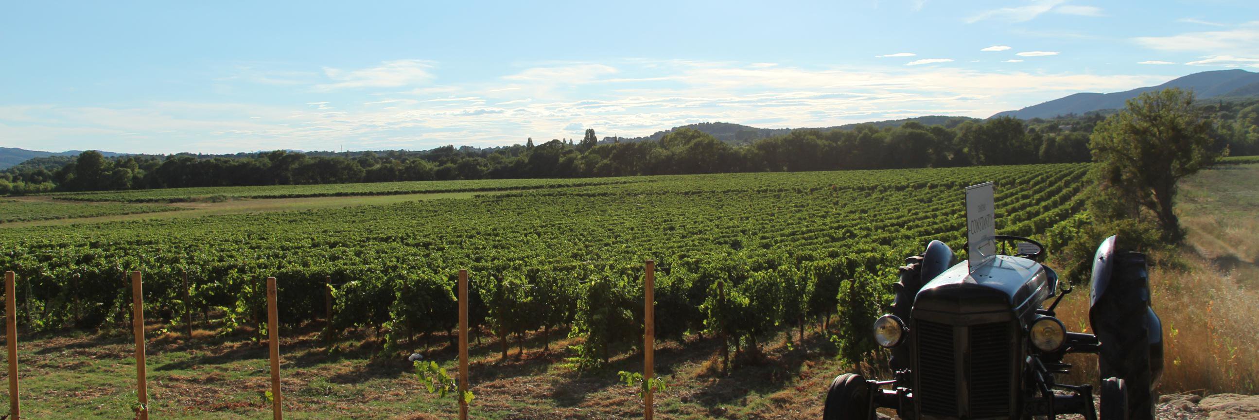 Williams Chase banner