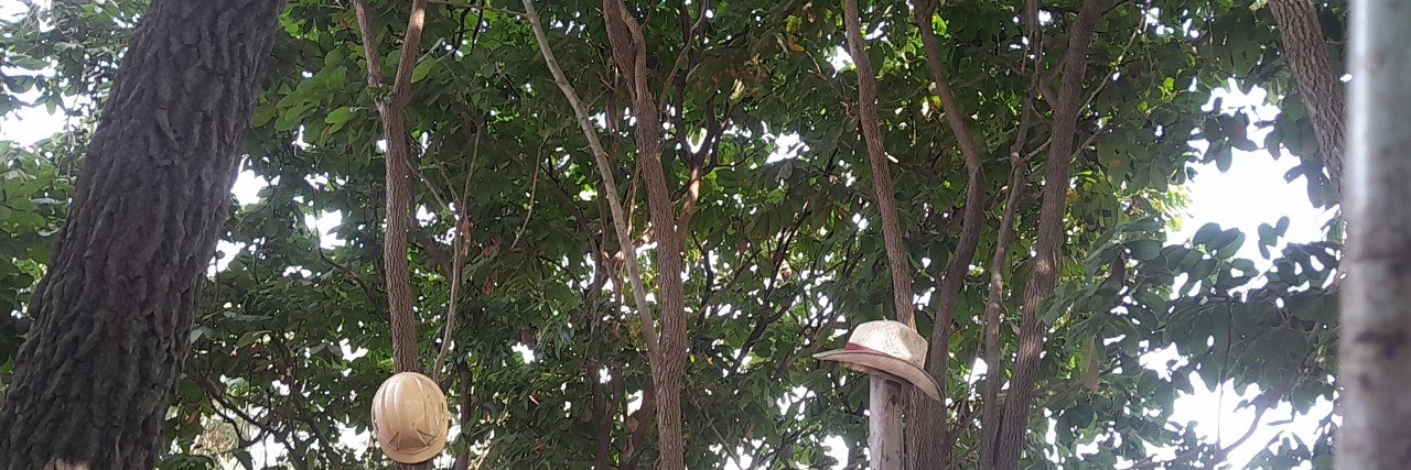 bbokahm's profile banner image