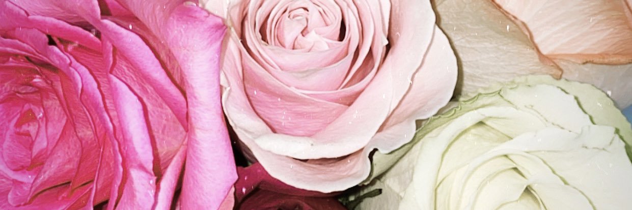 _lindseyaustin's profile banner image