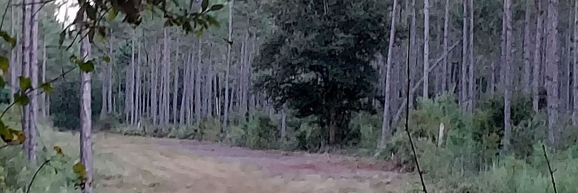 Ron_Turn's profile banner image
