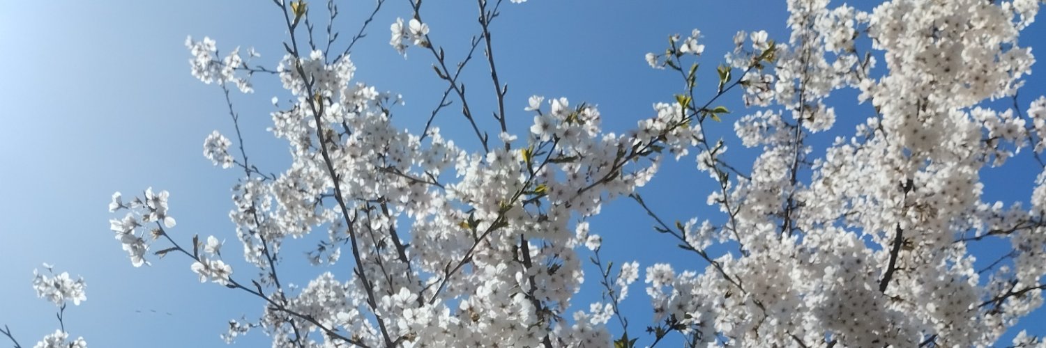andytwinkx's profile banner image