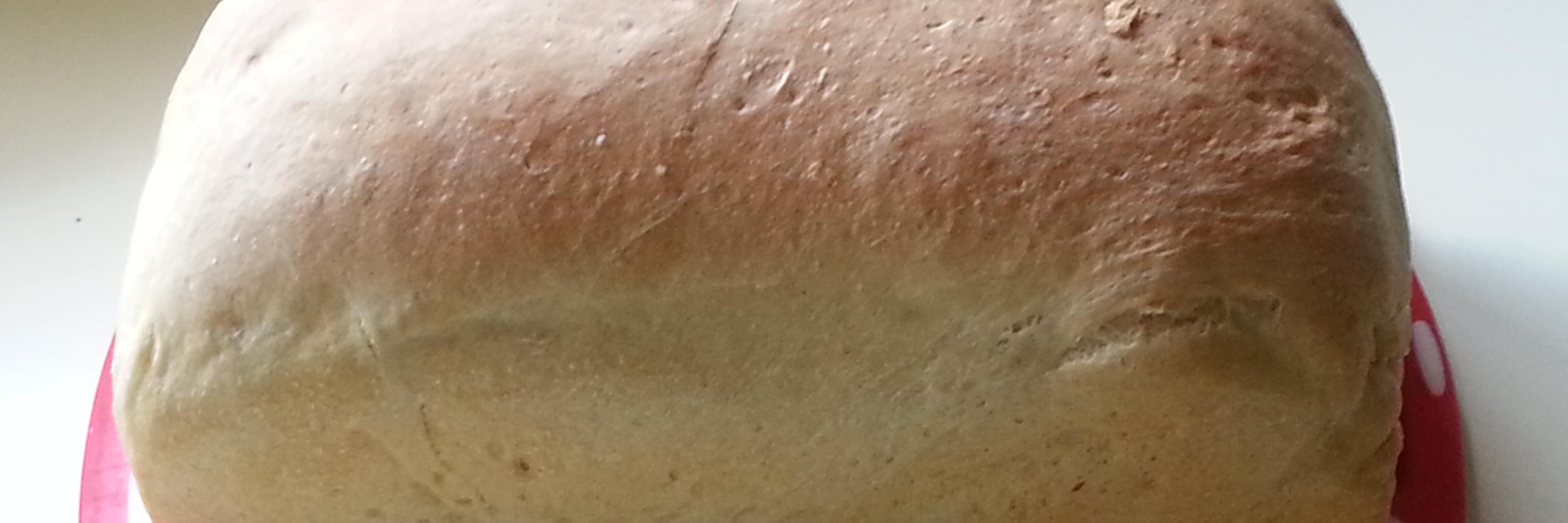 VikingEtiquette's profile banner image