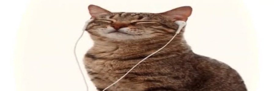 dooodledorky's profile banner image