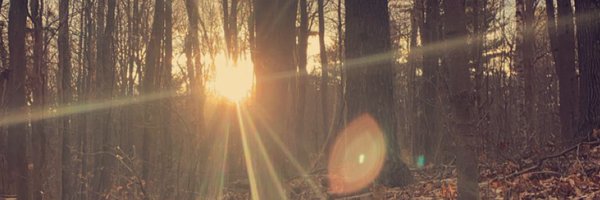 JulioLCP Profile Banner
