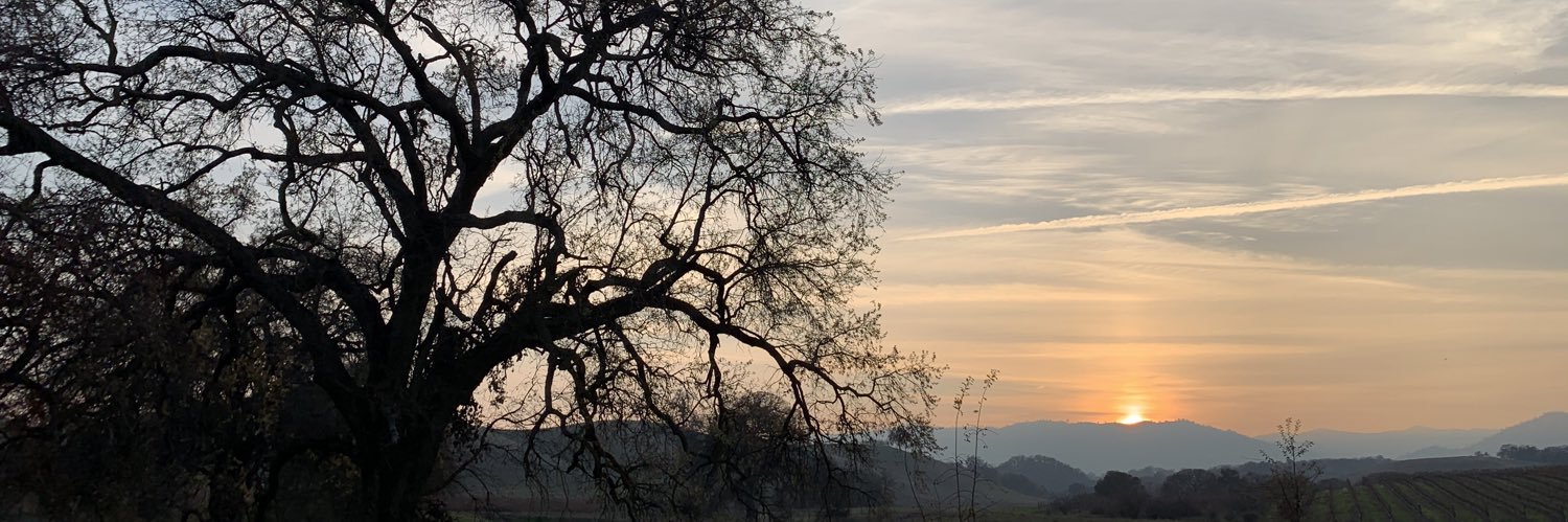 Ruth Rominger banner