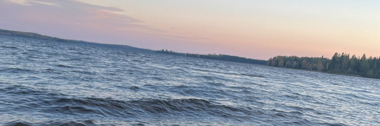 wlmootsplease's profile banner image