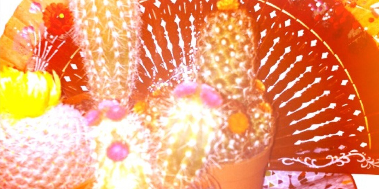 WrenTales's profile banner image