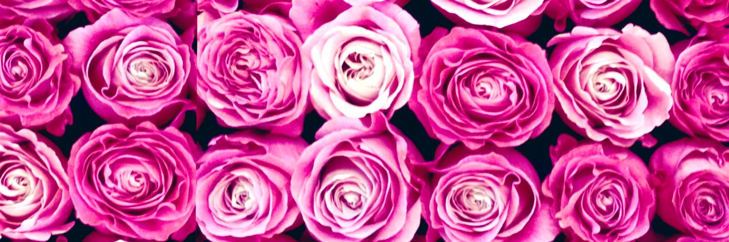 ChloeMichelleR's profile banner image