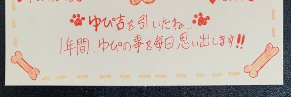 mingidayo's profile banner image