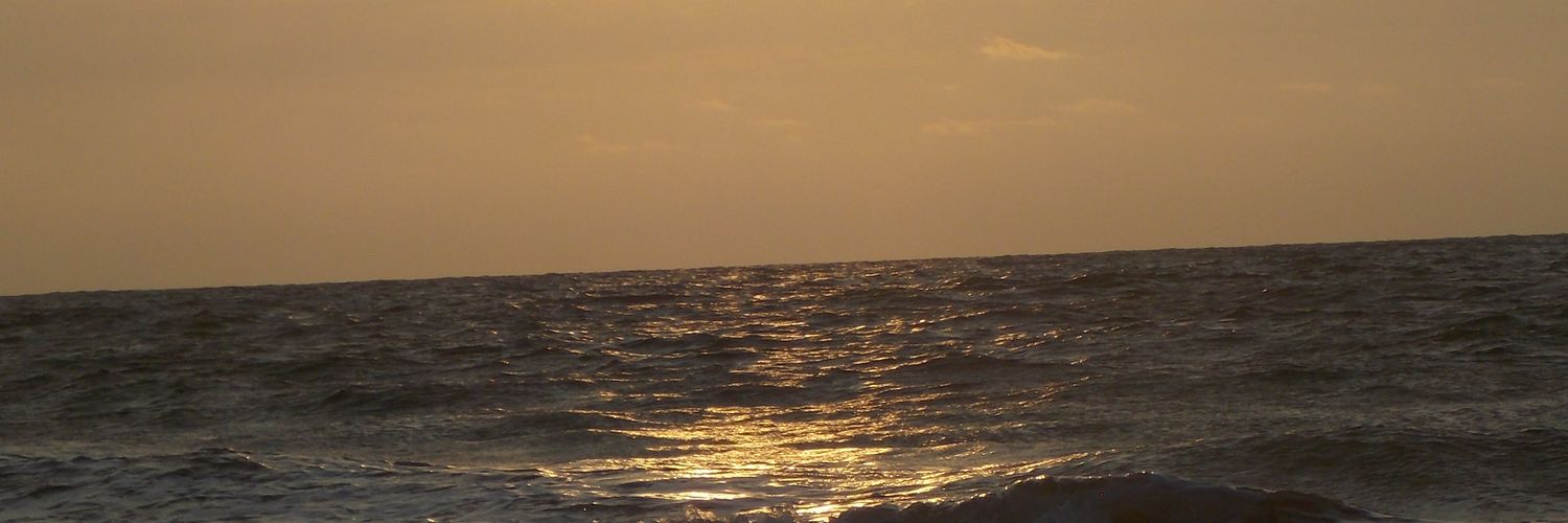 LizzCabrerita's profile banner image