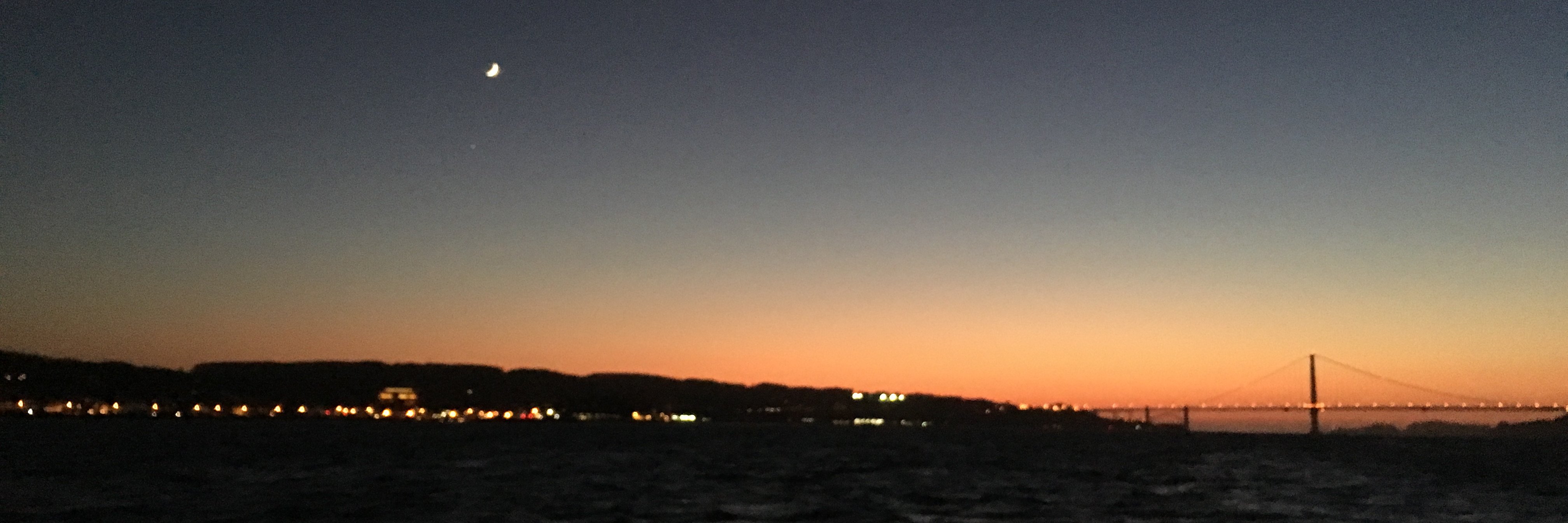 Michael Falcone banner