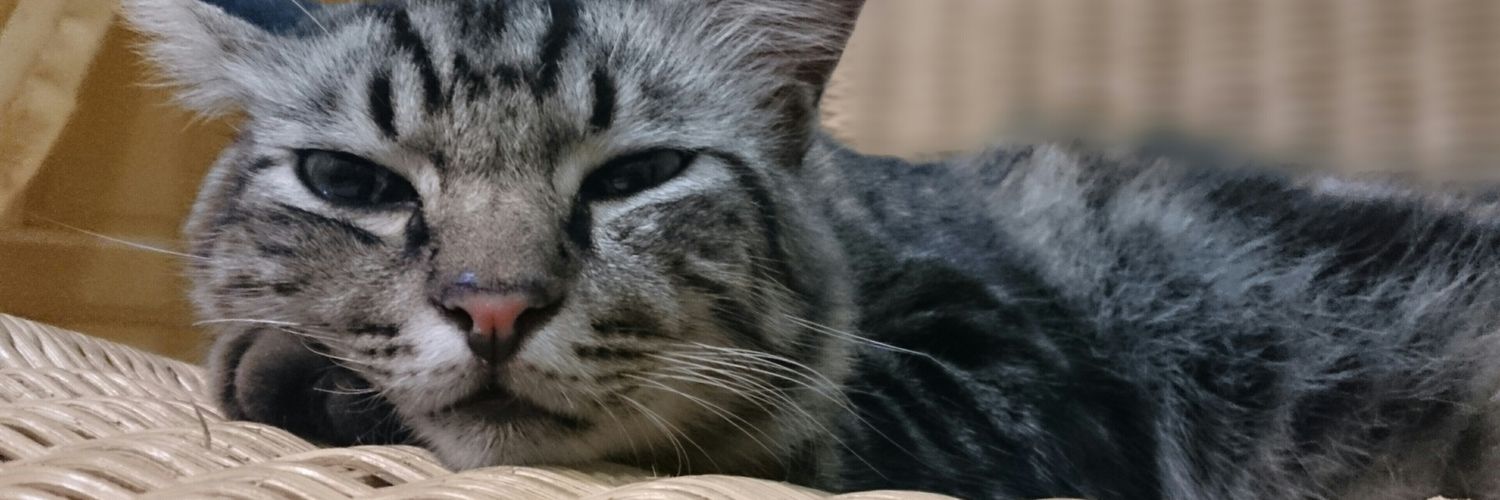 Mukhaz's profile banner image