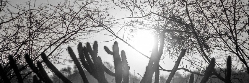 XiqueXiqueLives's profile banner image