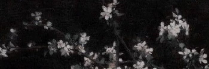 laire4you's profile banner image