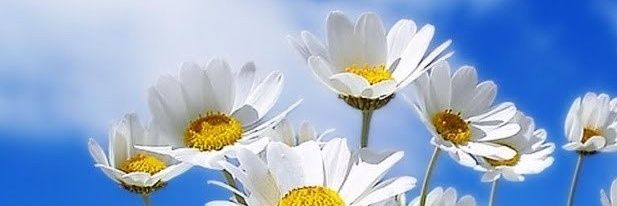 Grey_1091's profile banner image