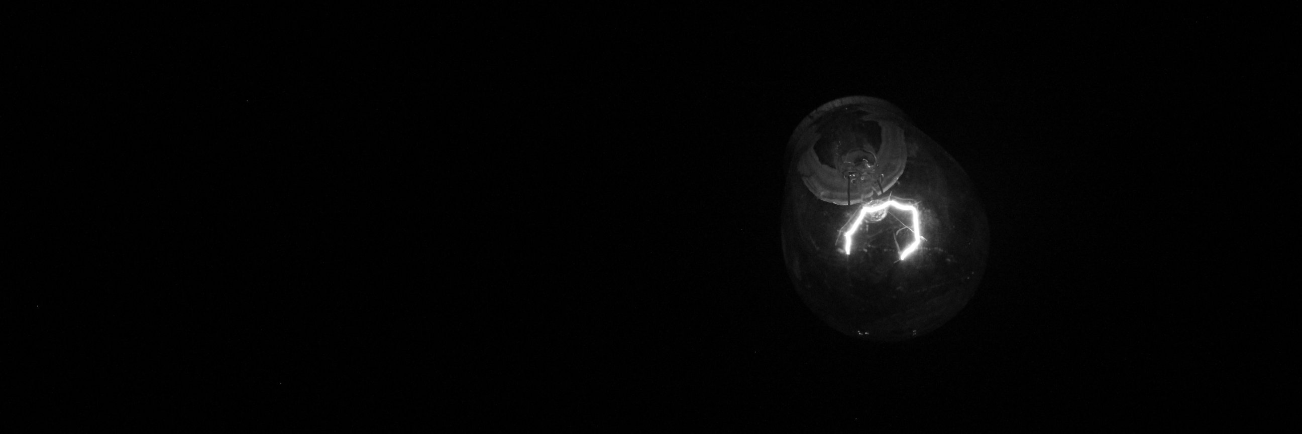 PabloPenella's profile banner image