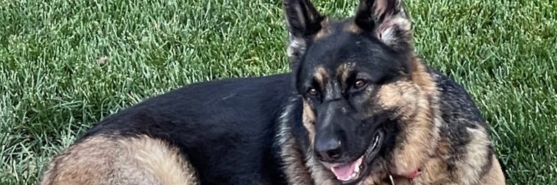 Libby’s Mom banner