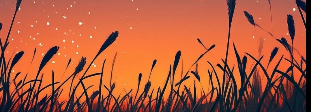 SORaSORaNo2's profile banner image