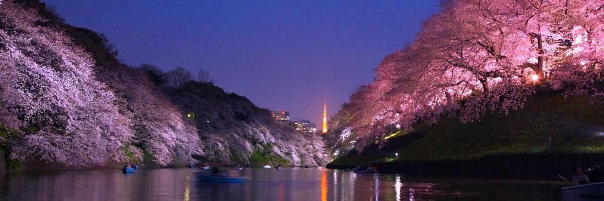 MaxiC002's profile banner image