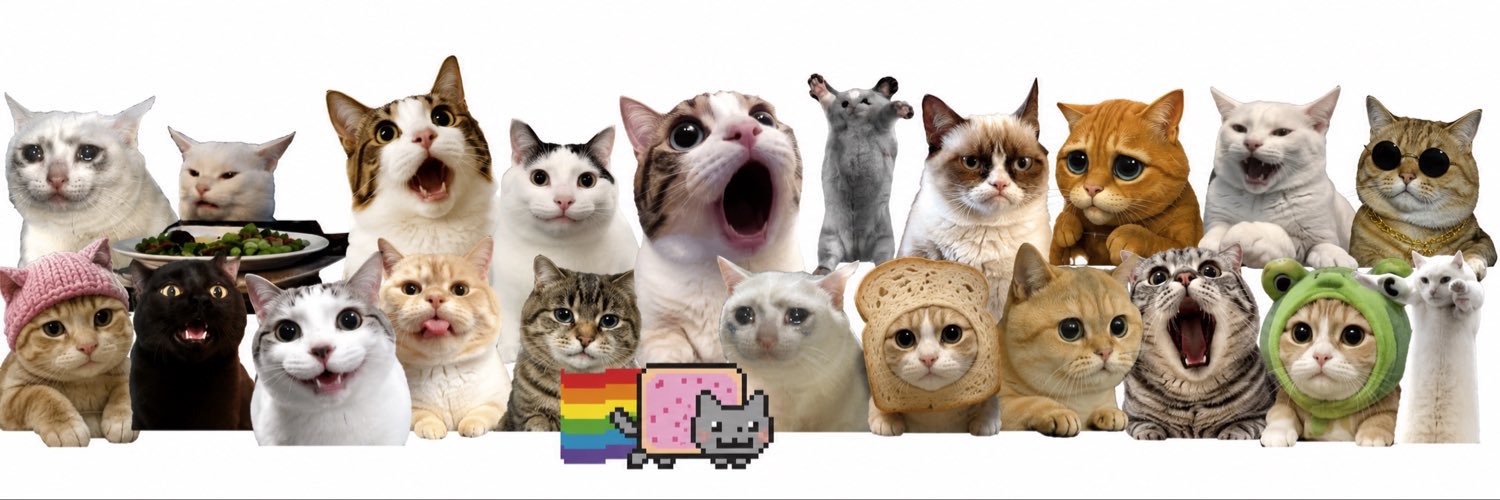 CTOMeme's profile banner image