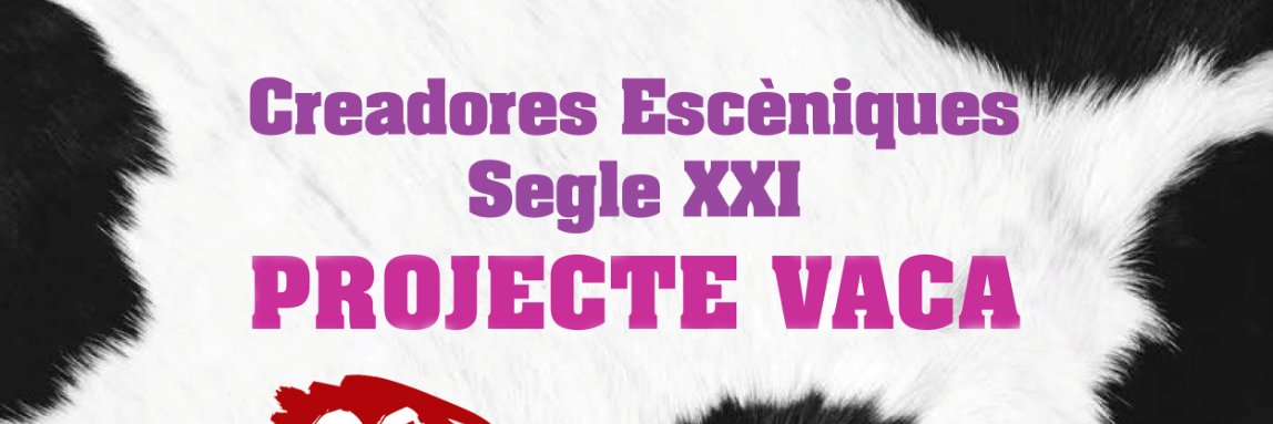 ProjecteVaca's profile banner image