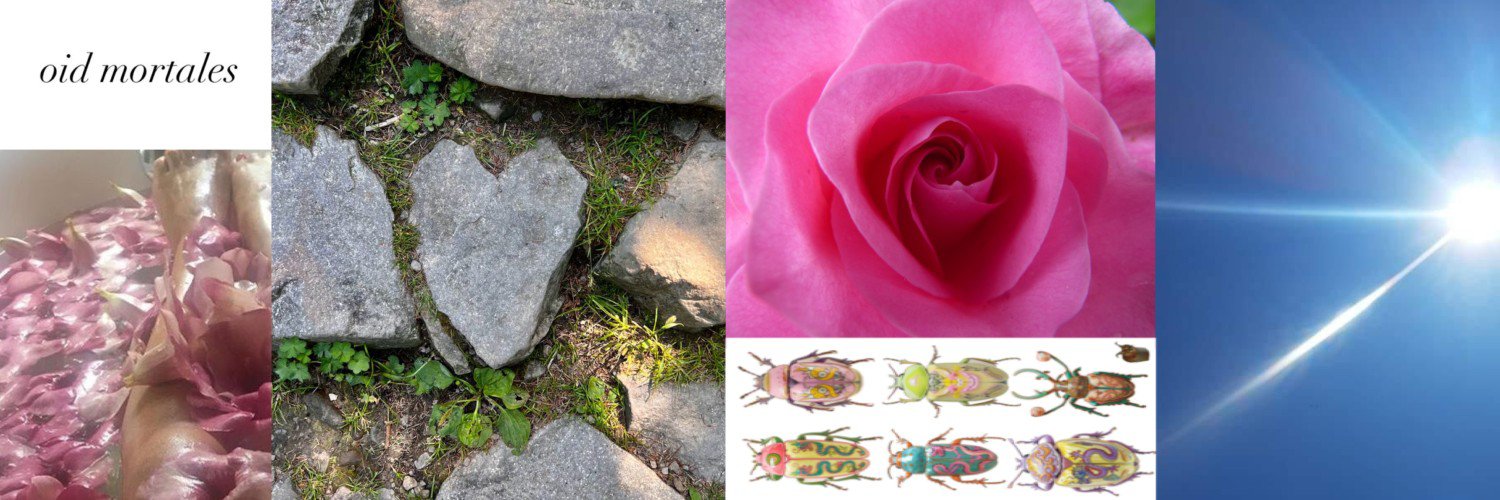 fairy__archives's profile banner image