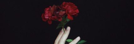 phenyletylamin's profile banner image