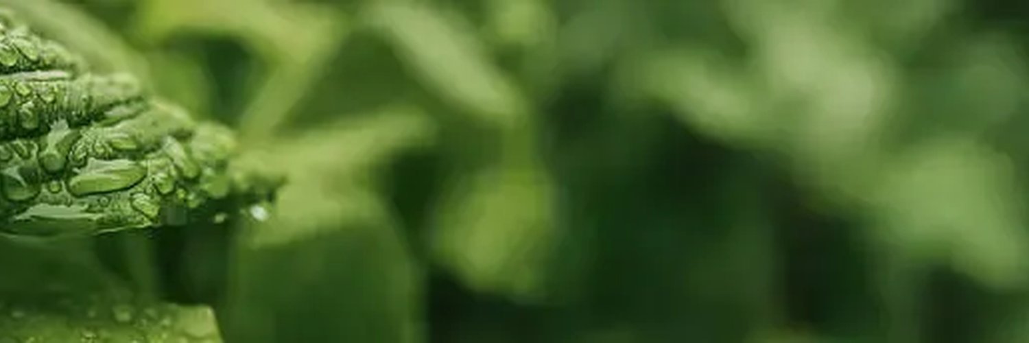 rob29754's profile banner image