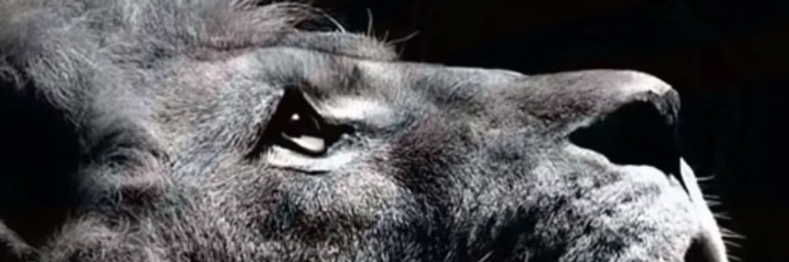 RupertJWarren's profile banner image