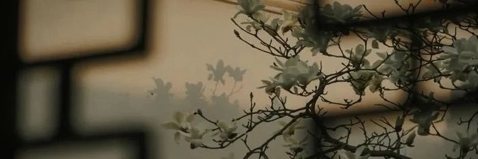 H0LL0WSTRNGS's profile banner image