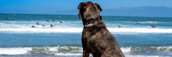 benjreinhart Profile Banner