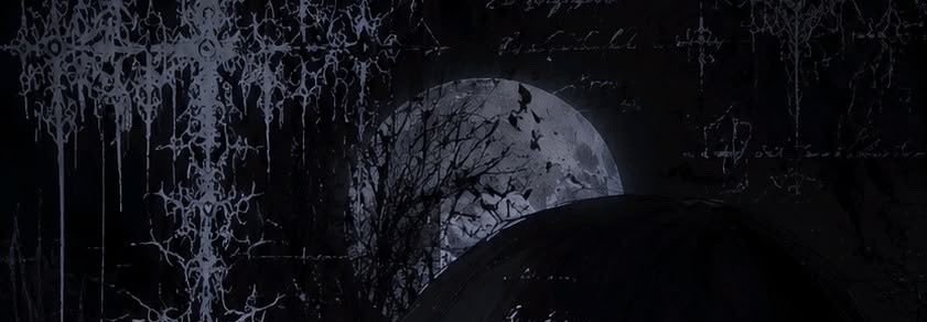 cutesillyfunny's profile banner image