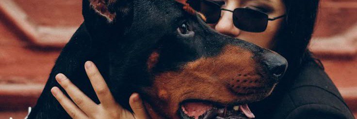 IspeedHQ's profile banner image