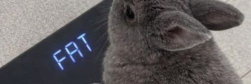 xactopup's profile banner image