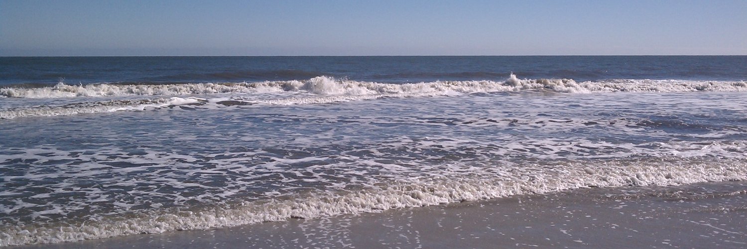 Tom Phillips - REALTOR® banner