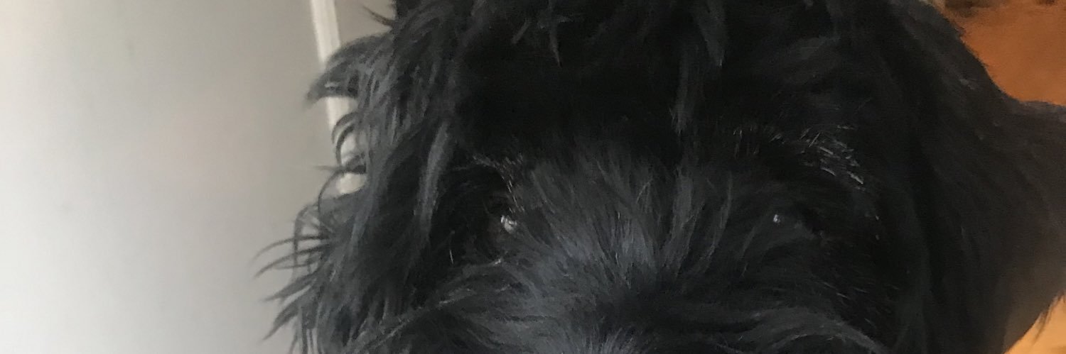 EvetteEdionb's profile banner image