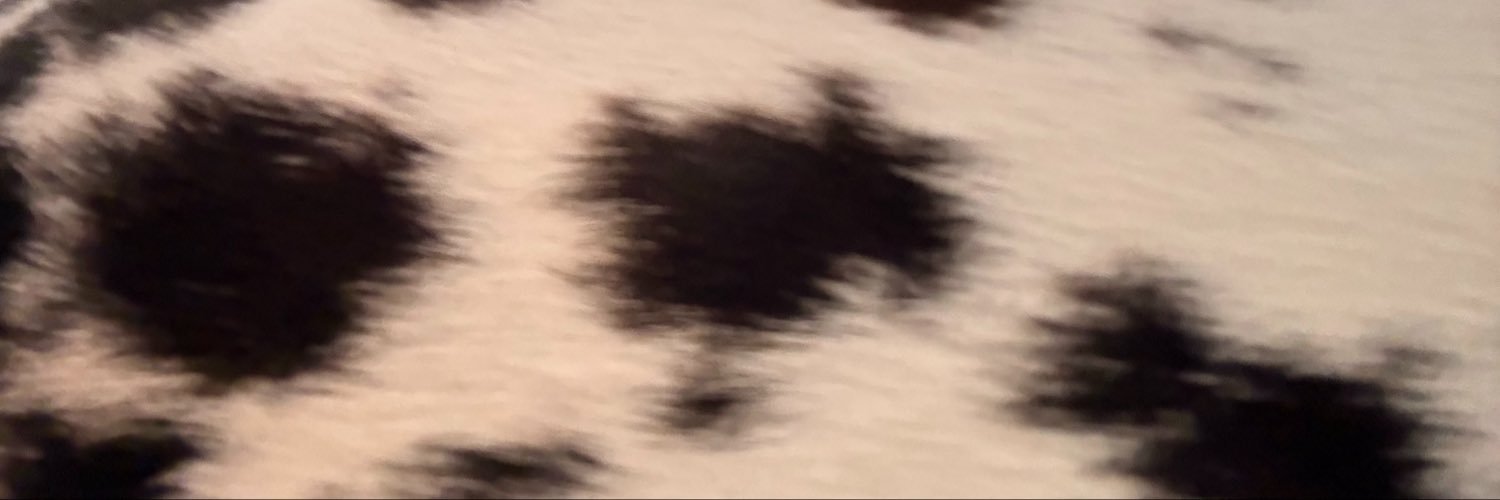 bellawtfff's profile banner image