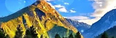 PriyankaSitz's profile banner image