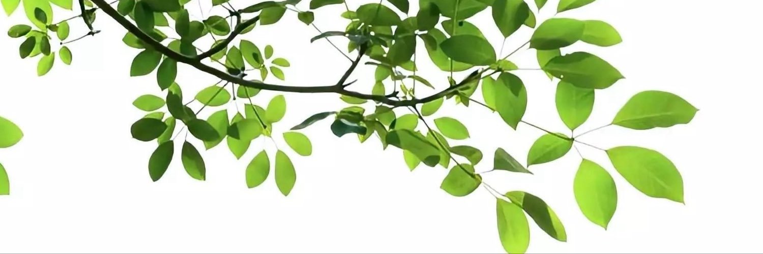 JiangHeDad's profile banner image