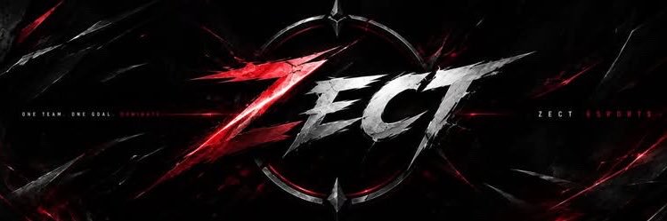 zect_esports's profile banner image