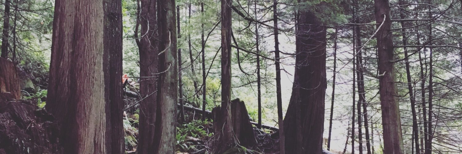 ashleyvkendall's profile banner image